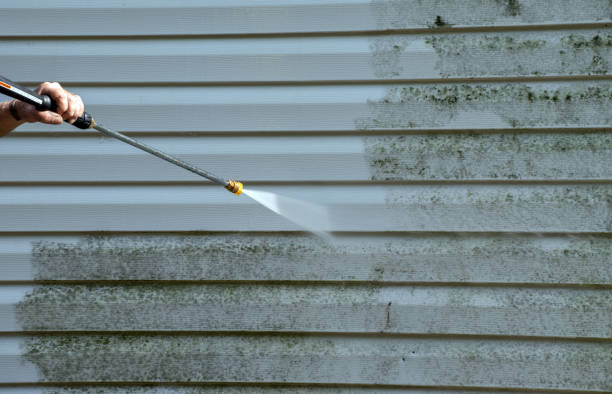 Reliable Clarence, IA Pressure Washing Services Solutions